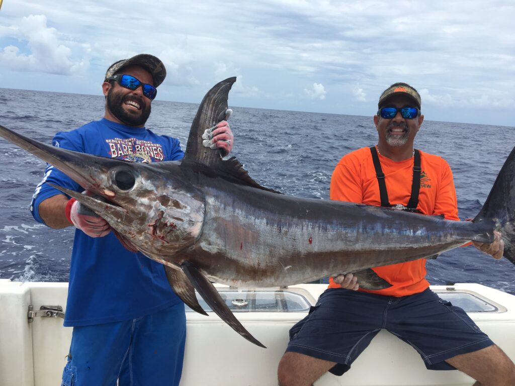 Fishing Technique & Seasons, Miami Sailfish Charters, Trolling, Kite- fishing